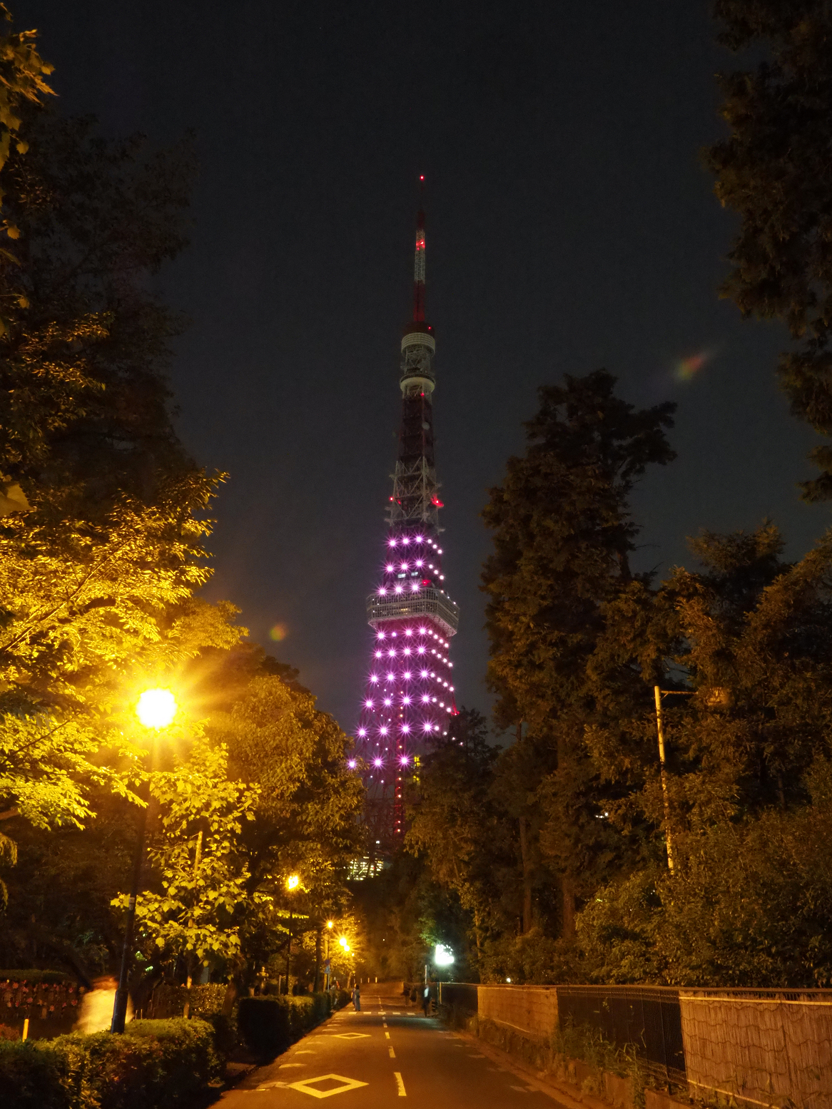 P5110134.jpg