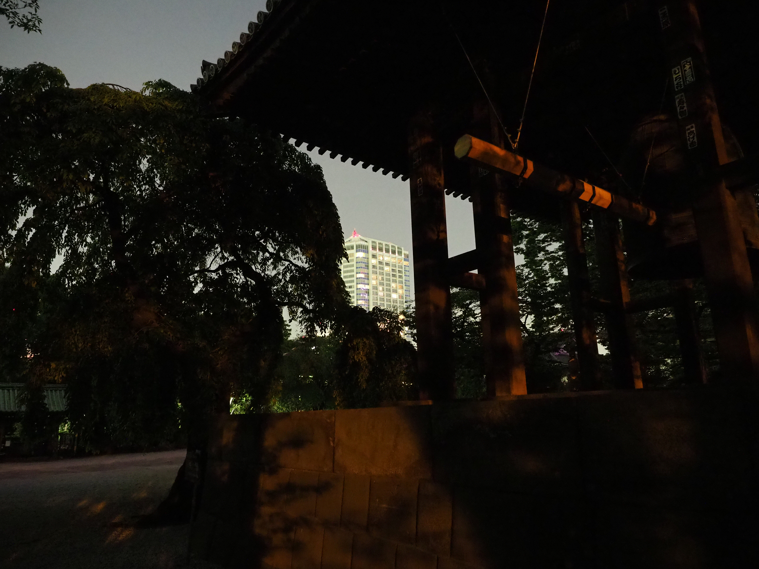 P5110141.jpg