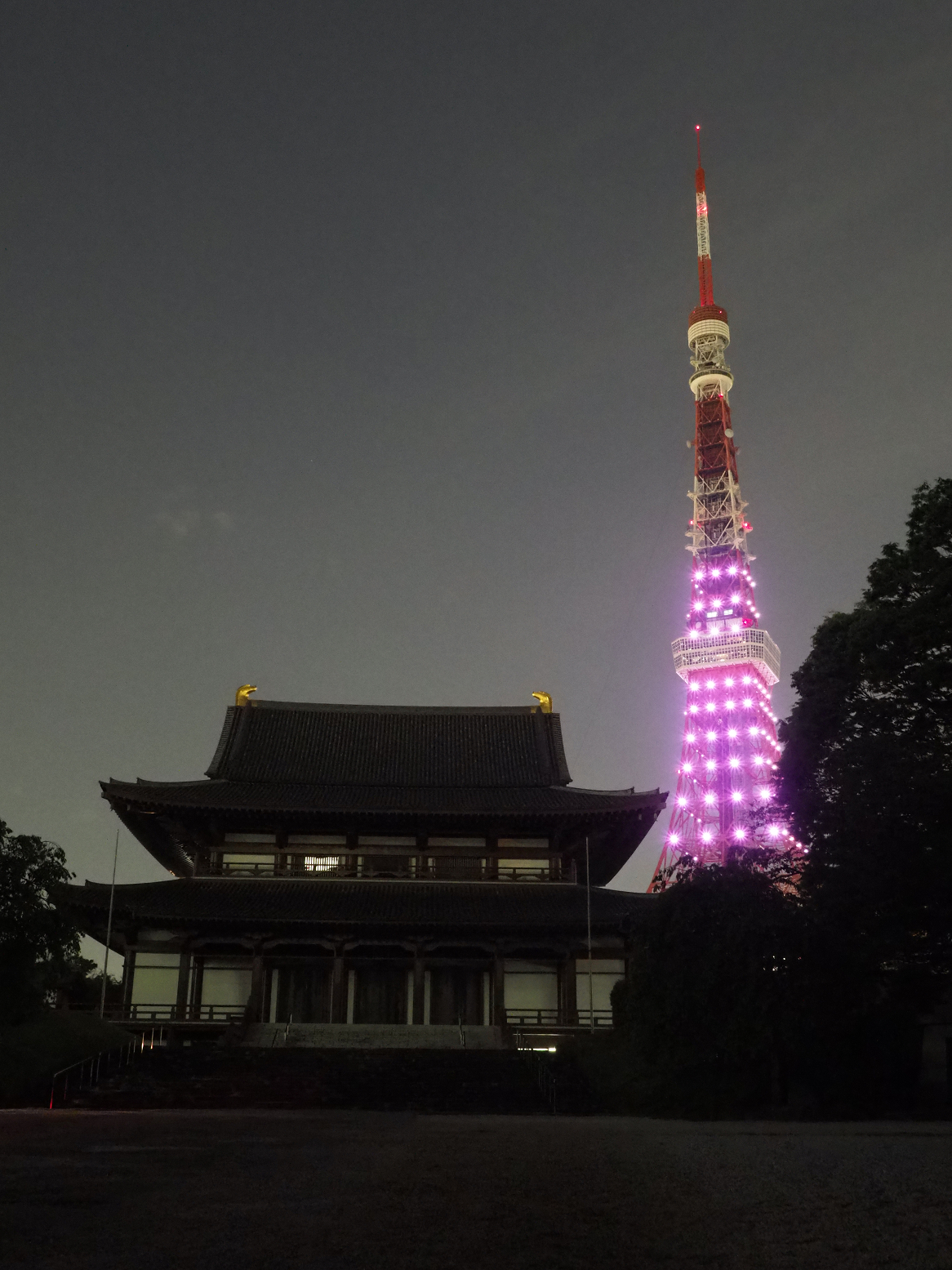 P5110145.jpg