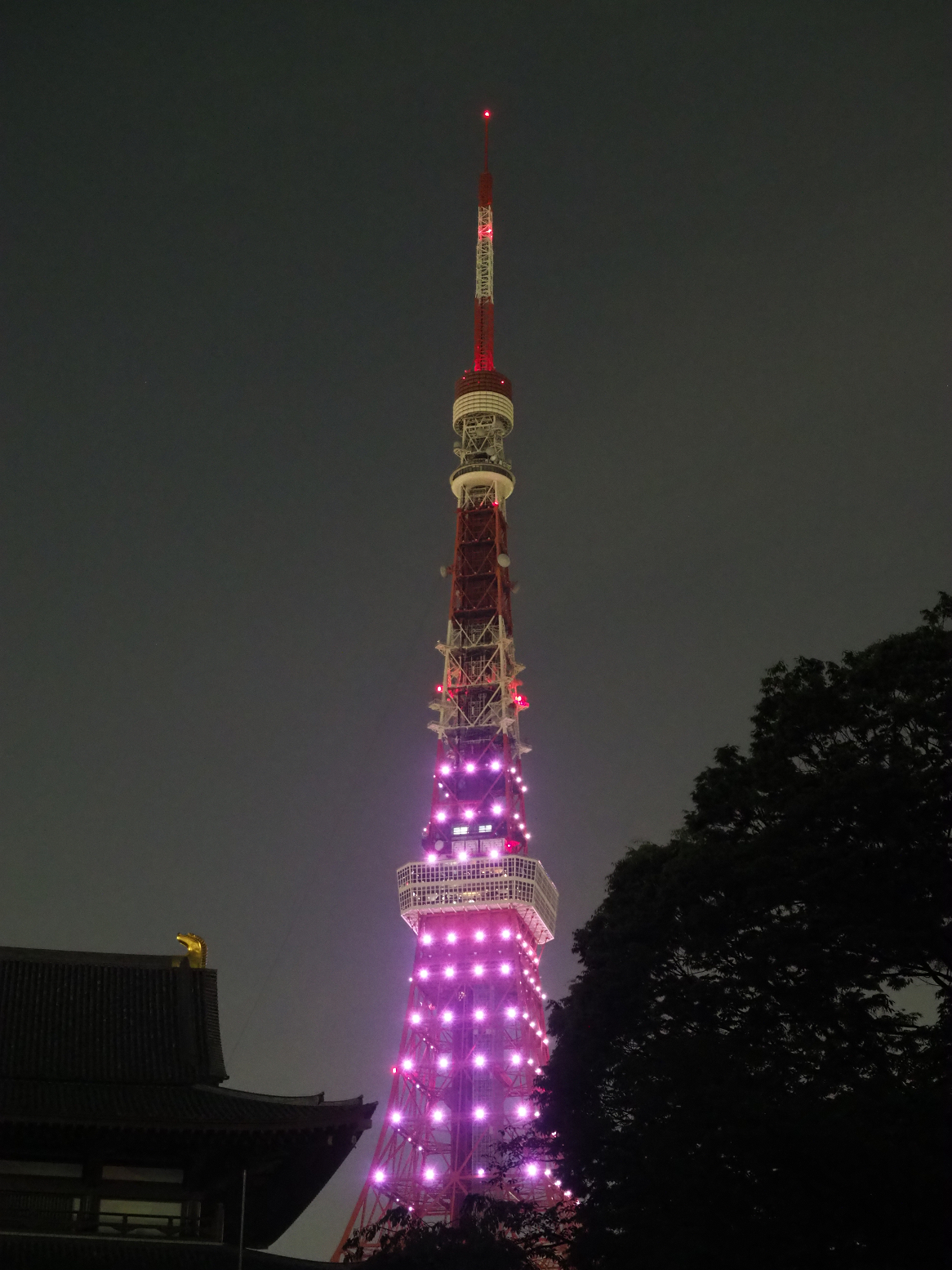 P5110150.jpg
