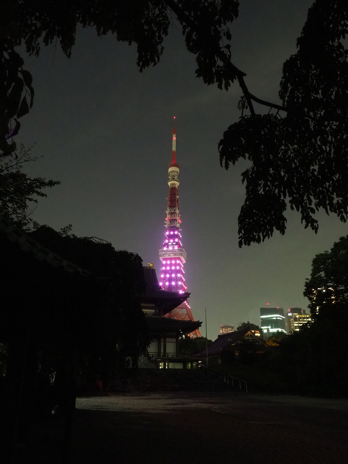 P5110176.jpg
