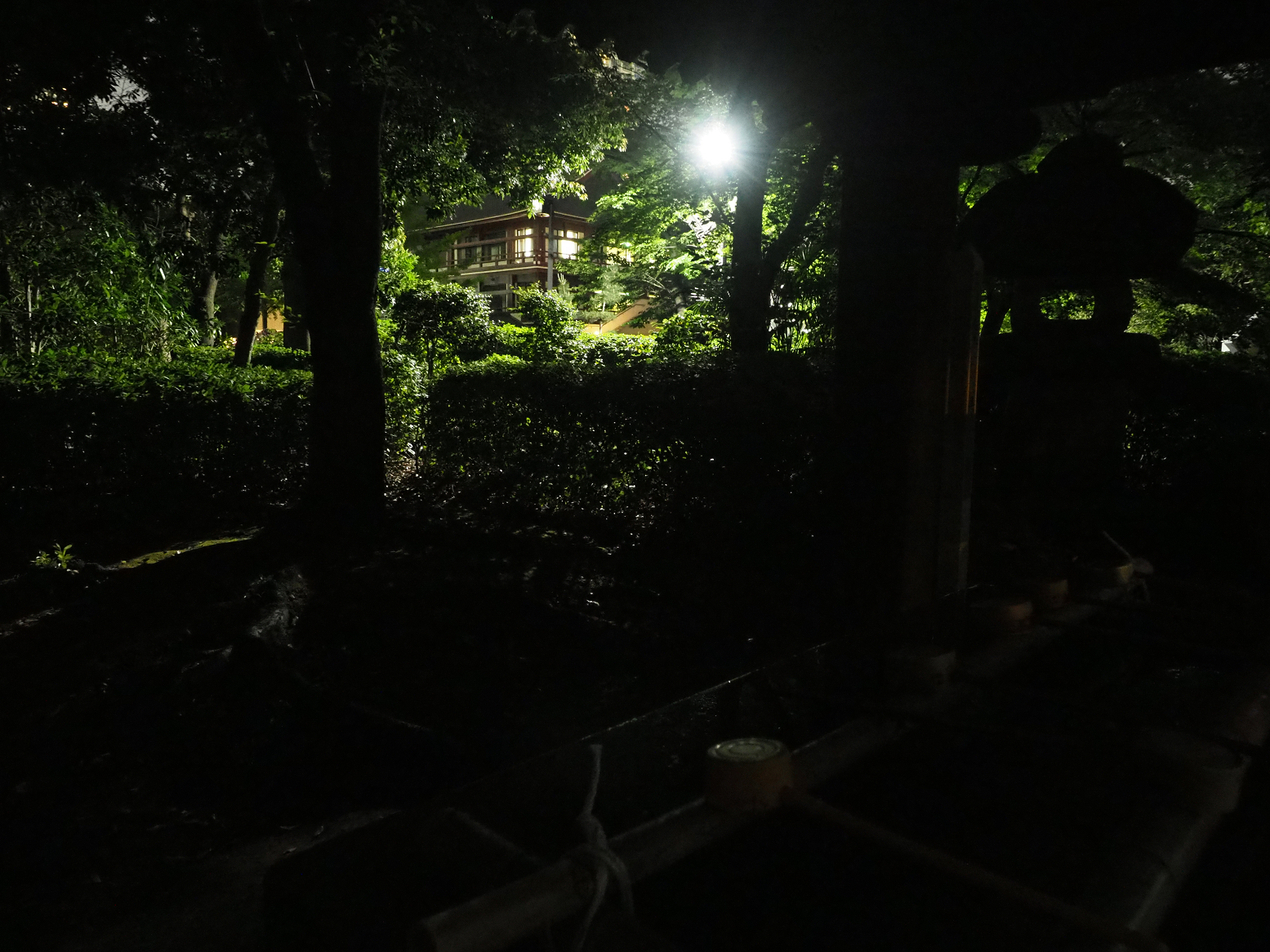 P5110181.jpg