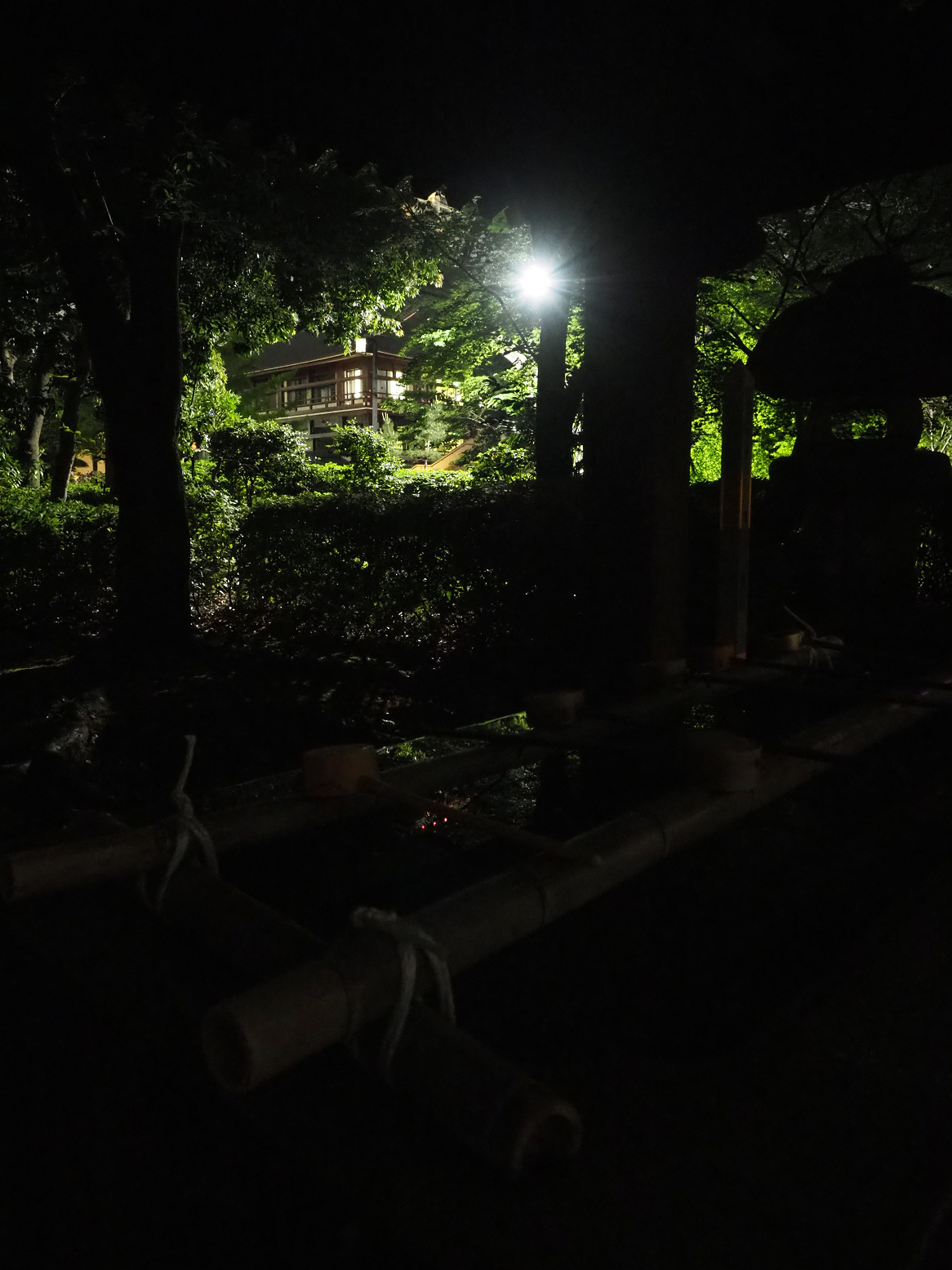 P5110183.jpg