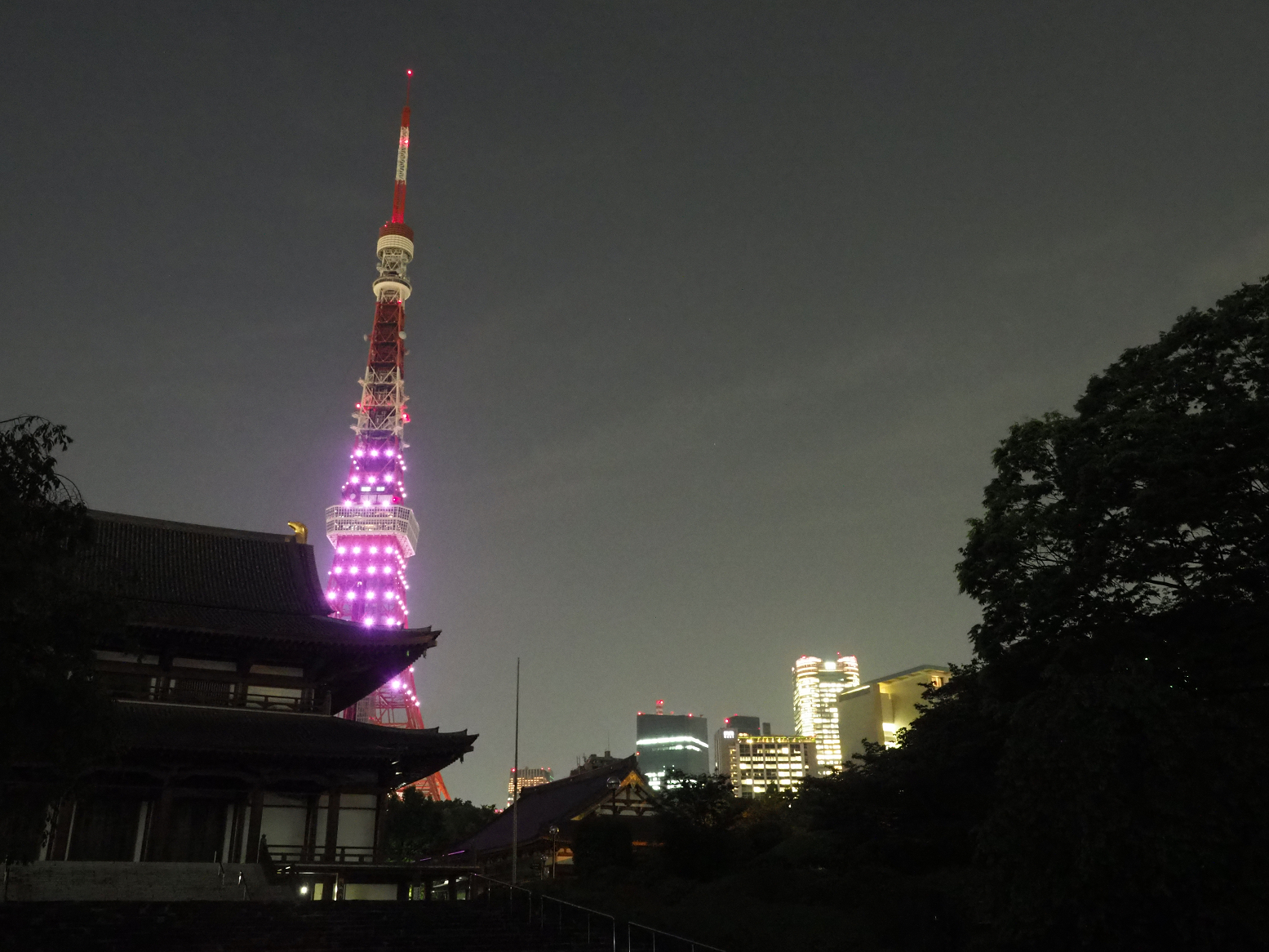 P5110186.jpg