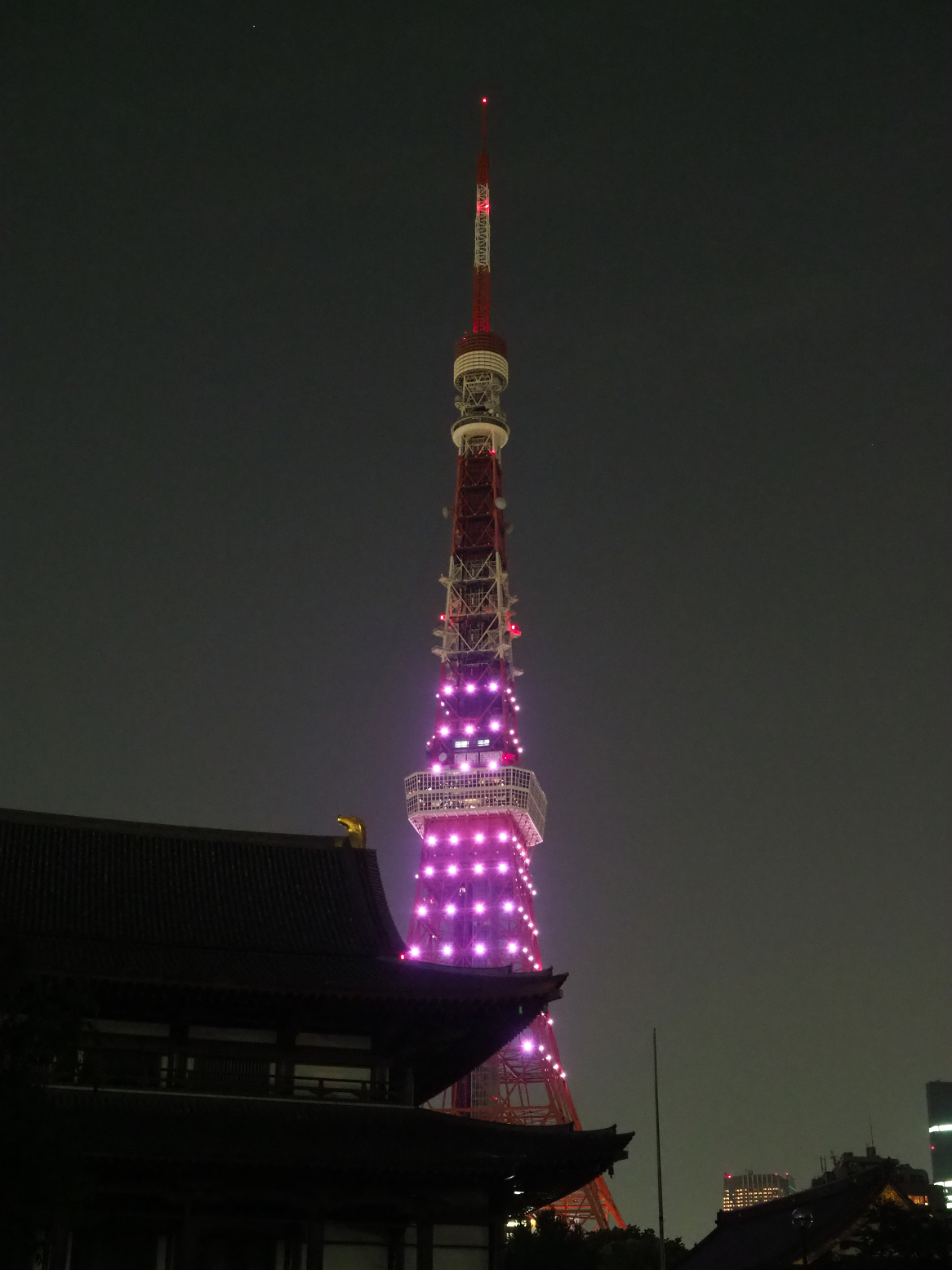 P5110188.jpg