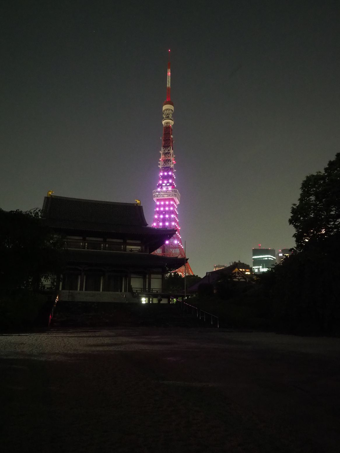P5110194.jpg