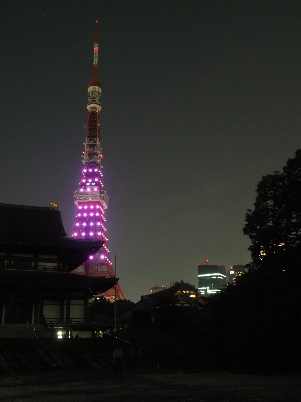 P5110196.jpg
