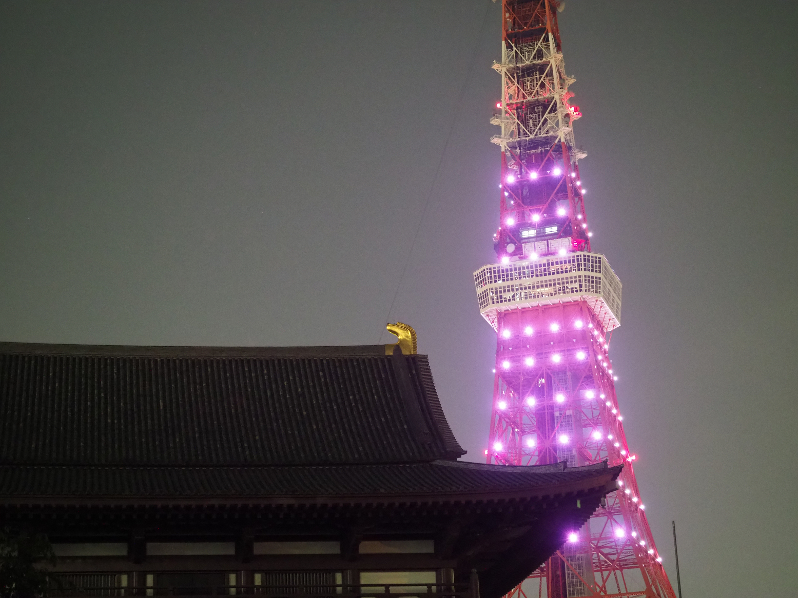 P5110198.jpg