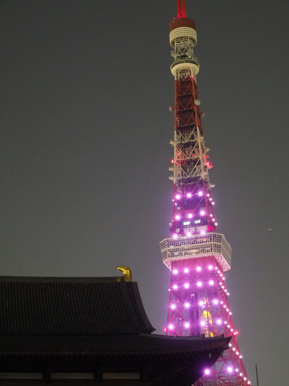 P5110201.jpg