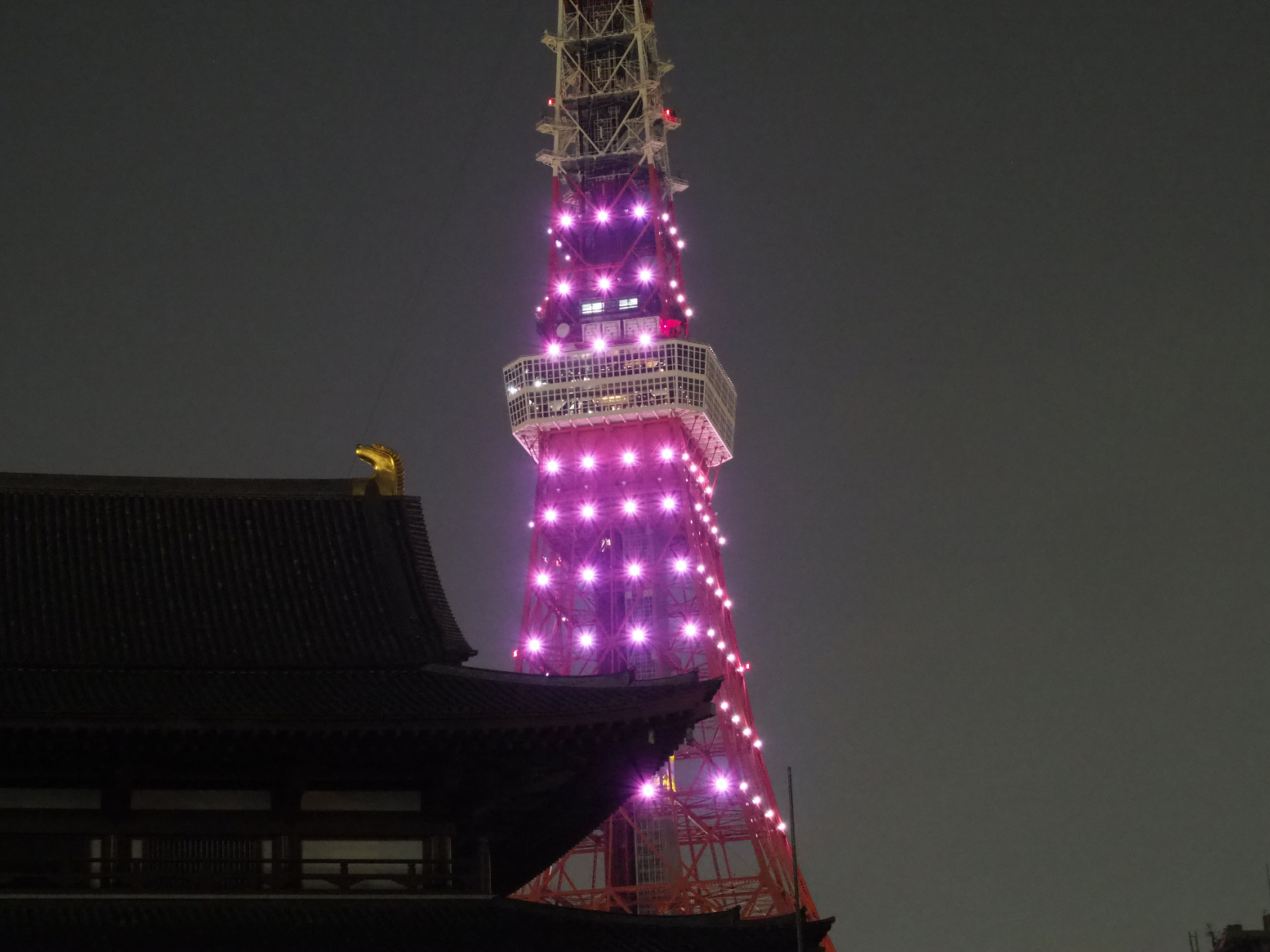 P5110203.jpg