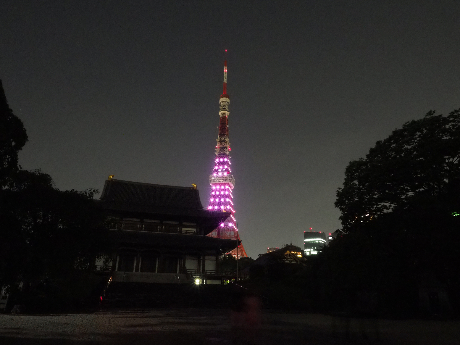 P5110205.jpg