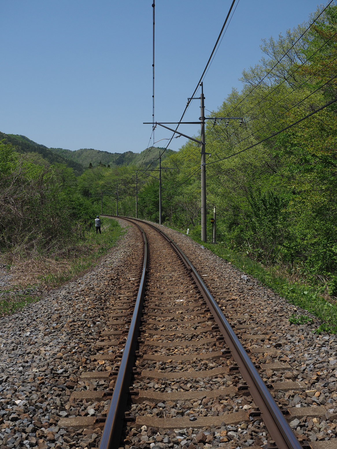 P5200091.jpg