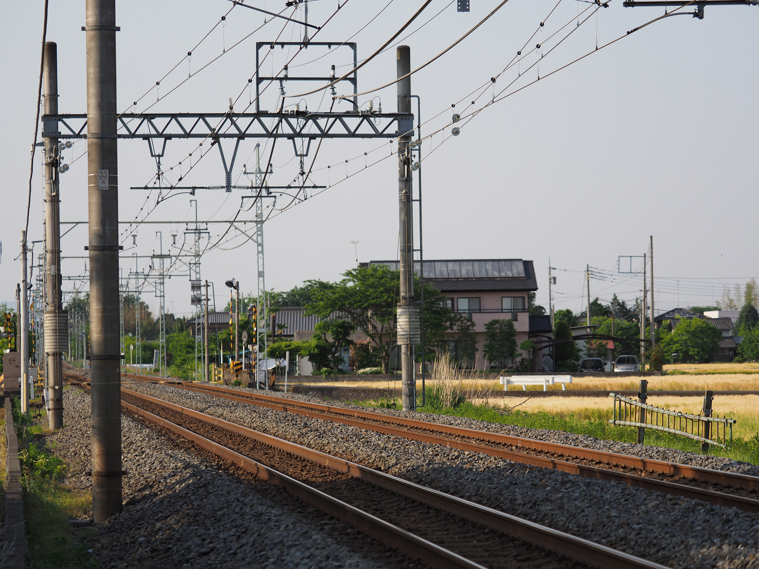 P5200267.jpg