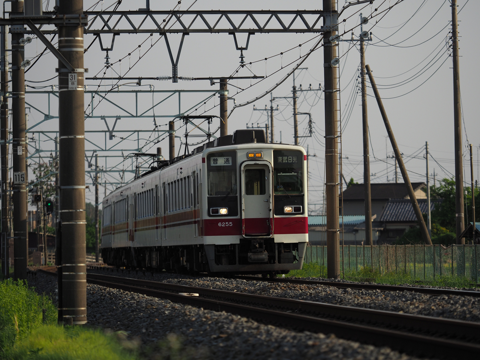 P5200323.jpg