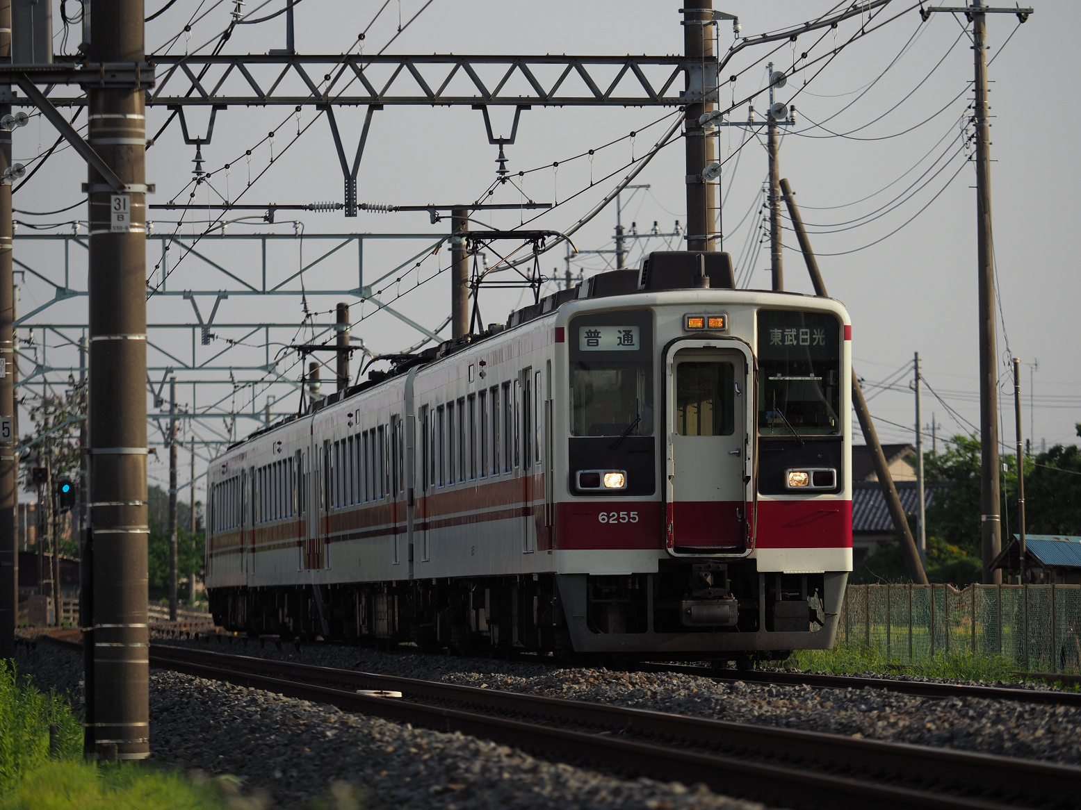 P5200334.jpg