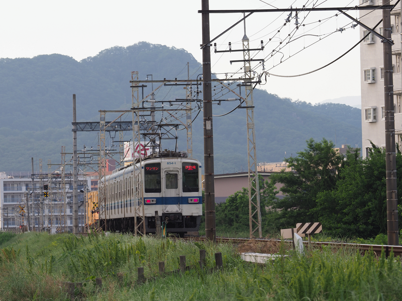 P5280080.jpg