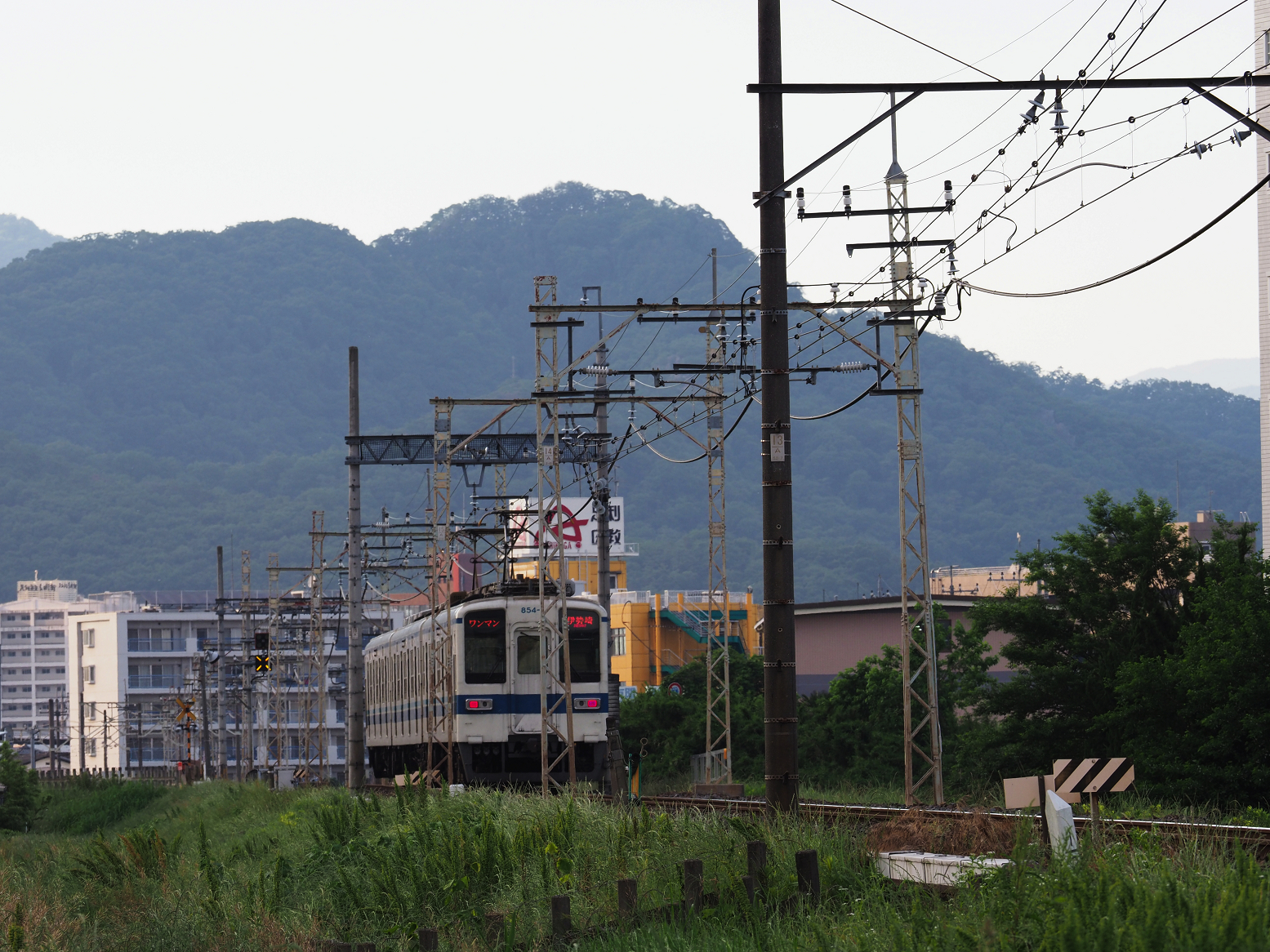 P5280083.jpg