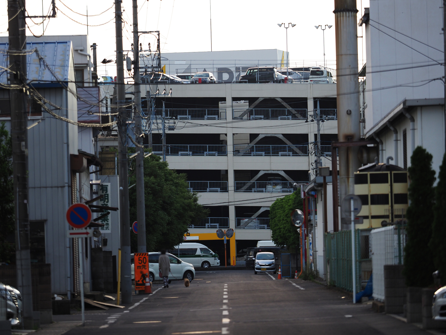P5280100.jpg