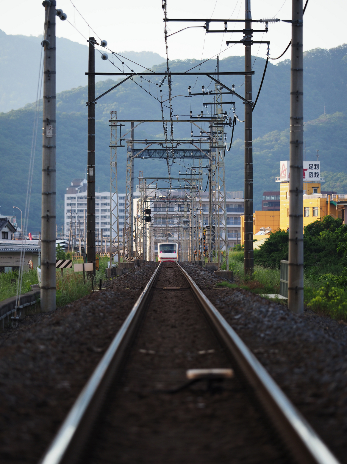 P5280120.jpg
