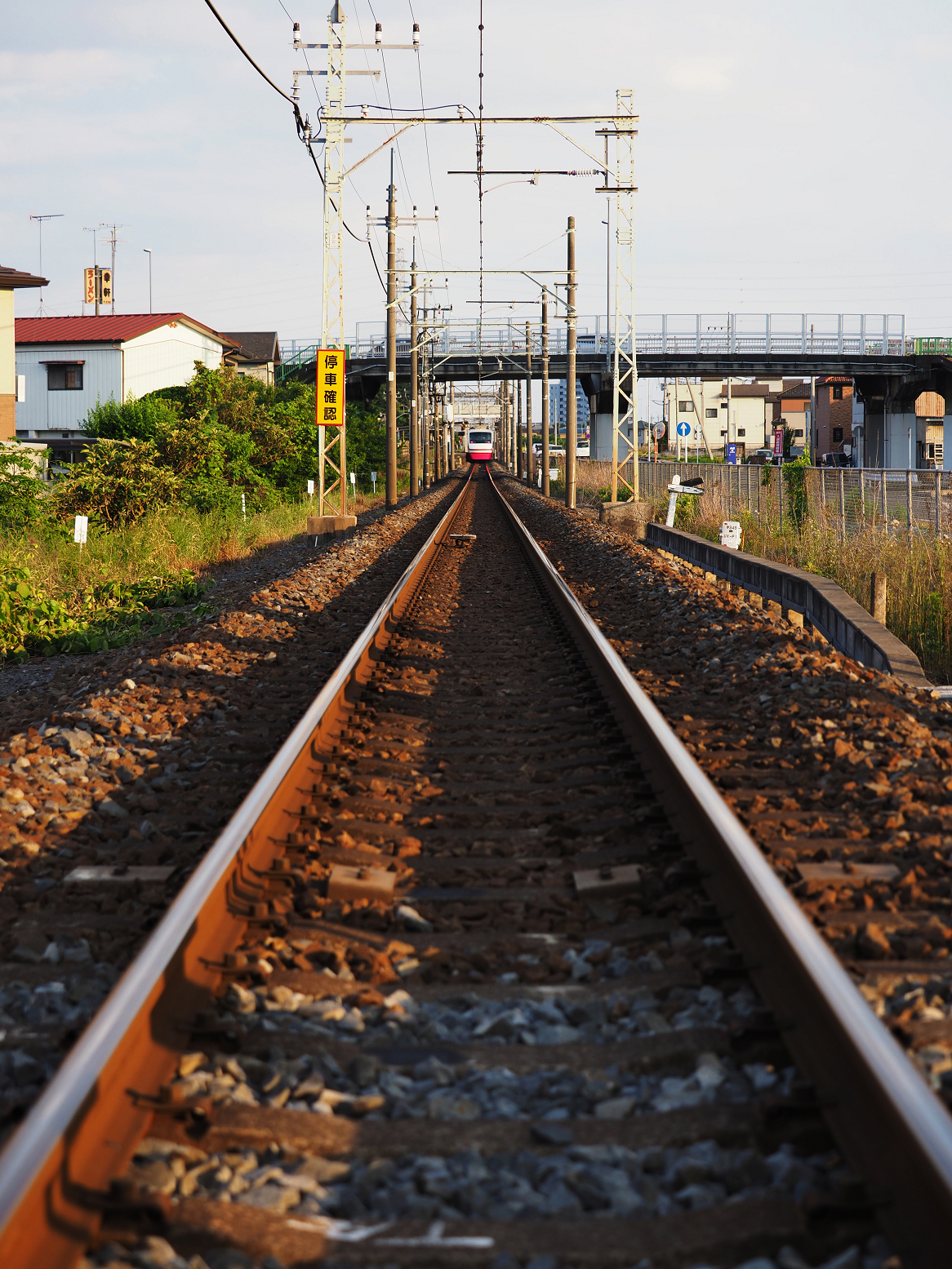 P5280149.jpg