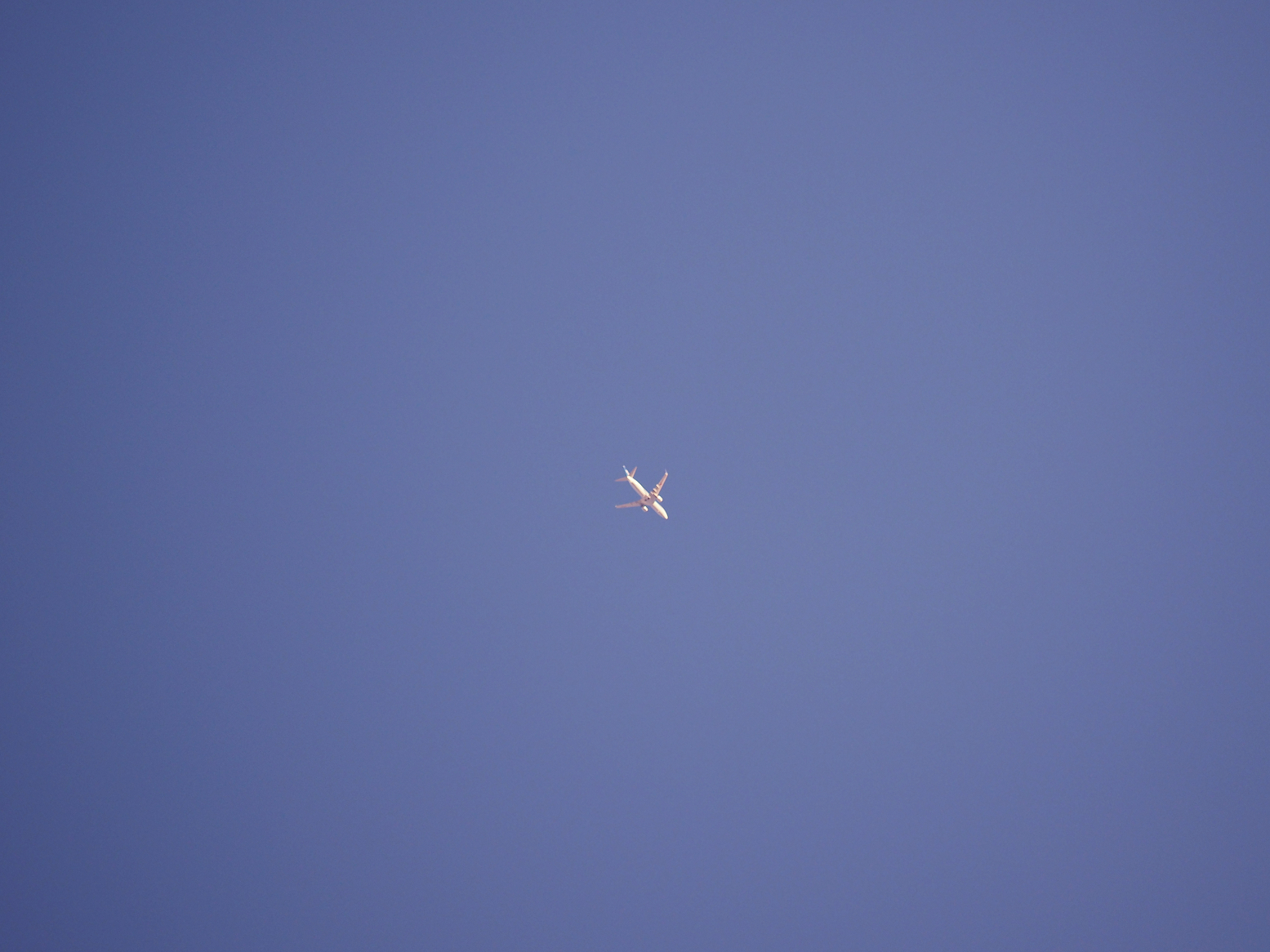P5280200.jpg