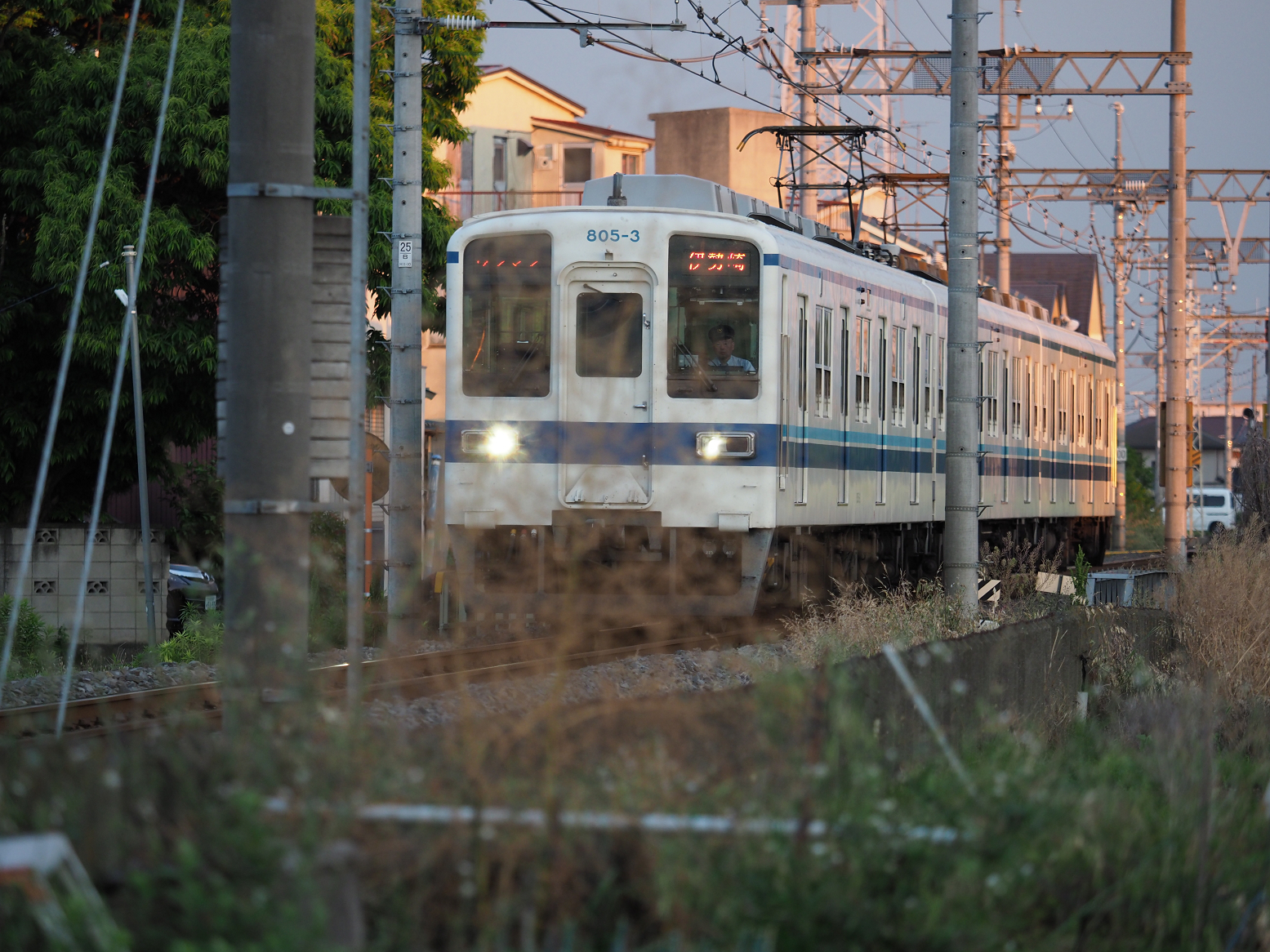 P5280262.jpg