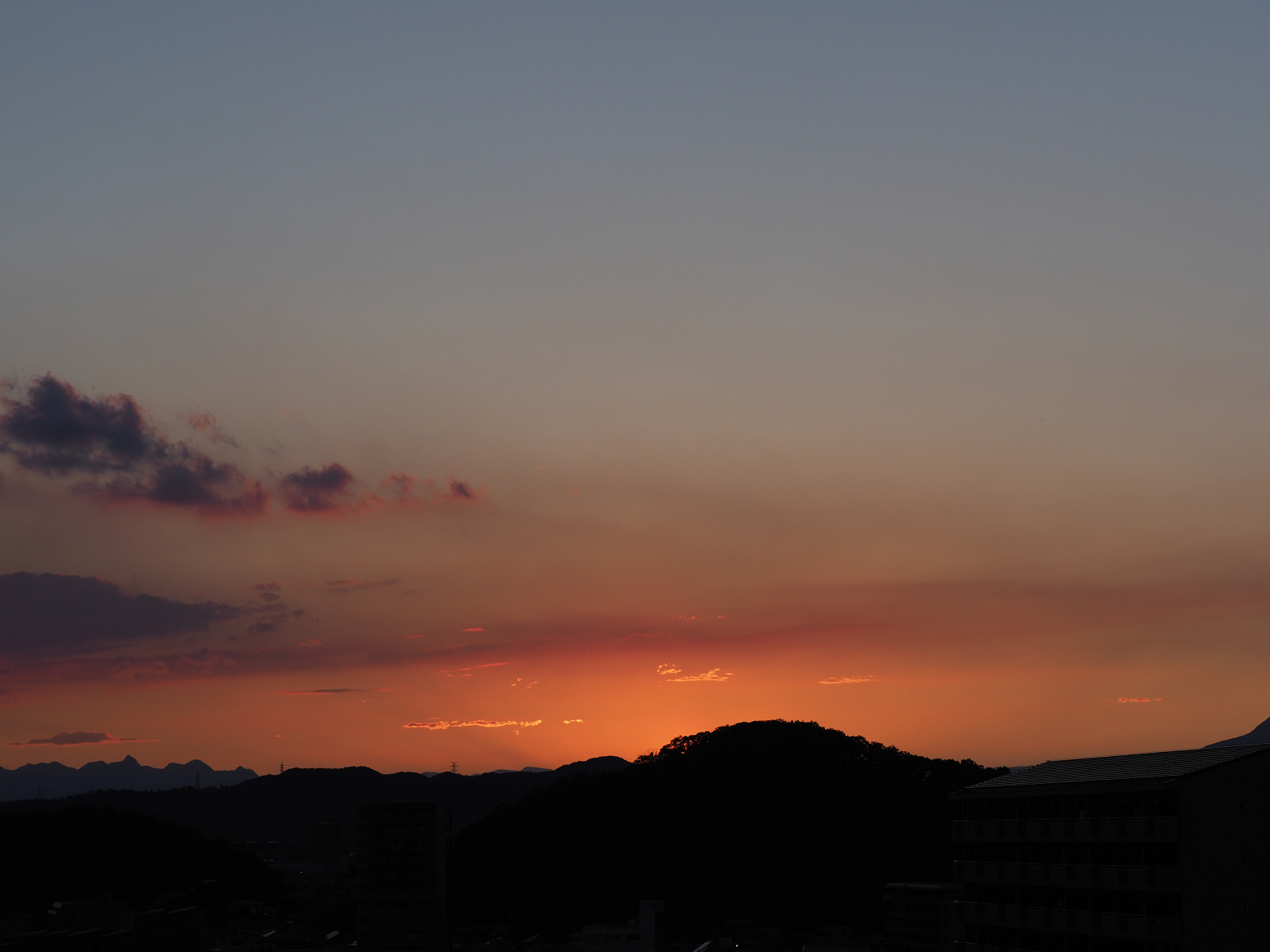 P5280275.jpg