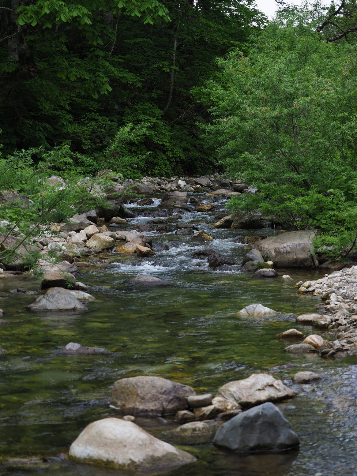 P6170171.jpg
