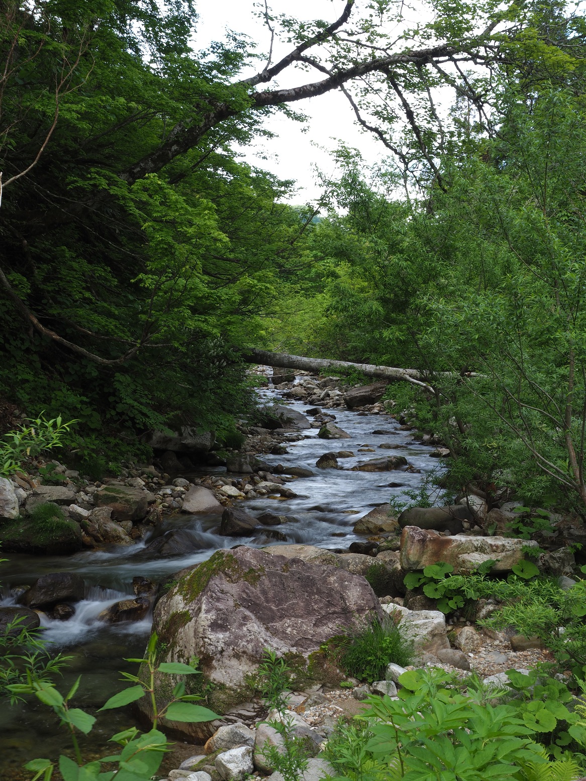 P6170186.jpg