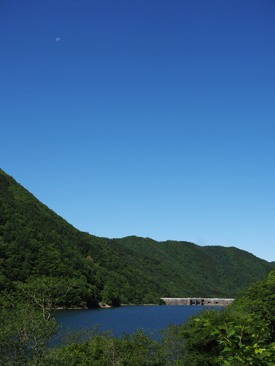 P6170200.jpg