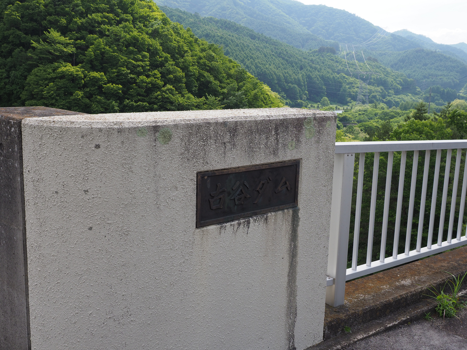 P6170378.jpg