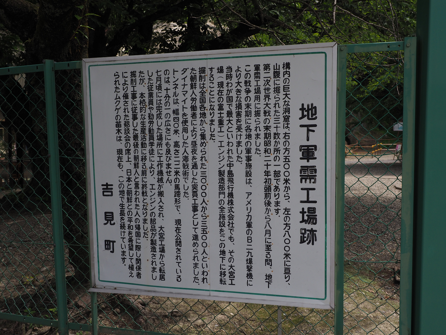 P6190021.jpg