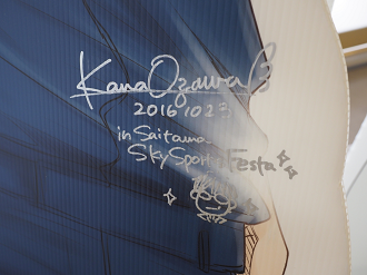 P6190040_thumb.png