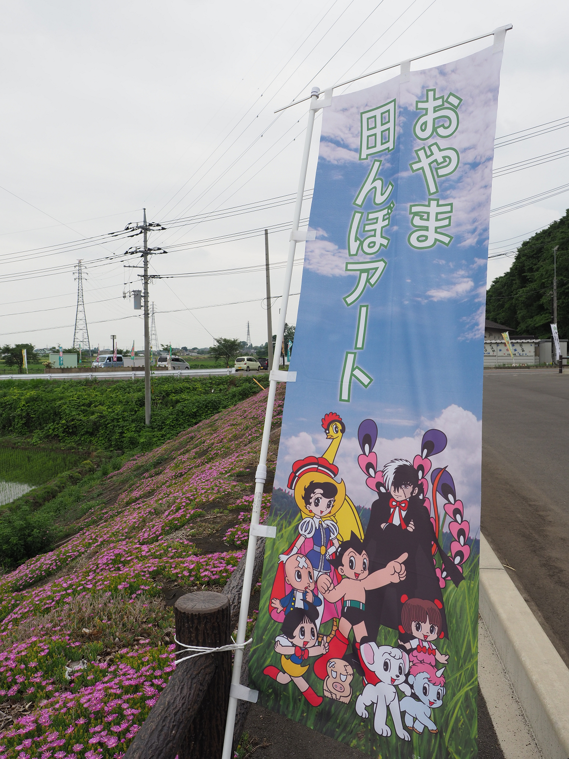 P6250250.jpg