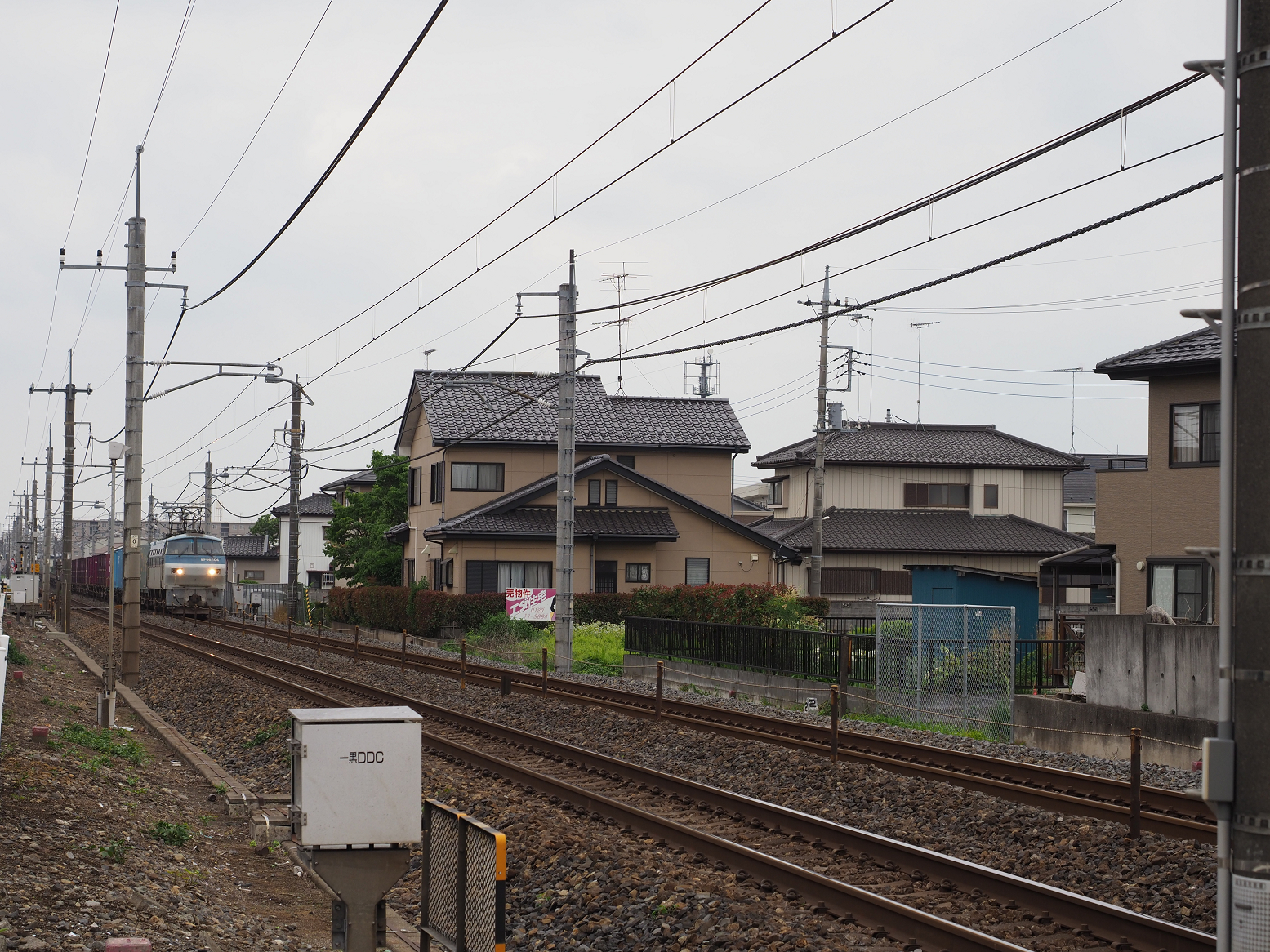 P6250257.jpg