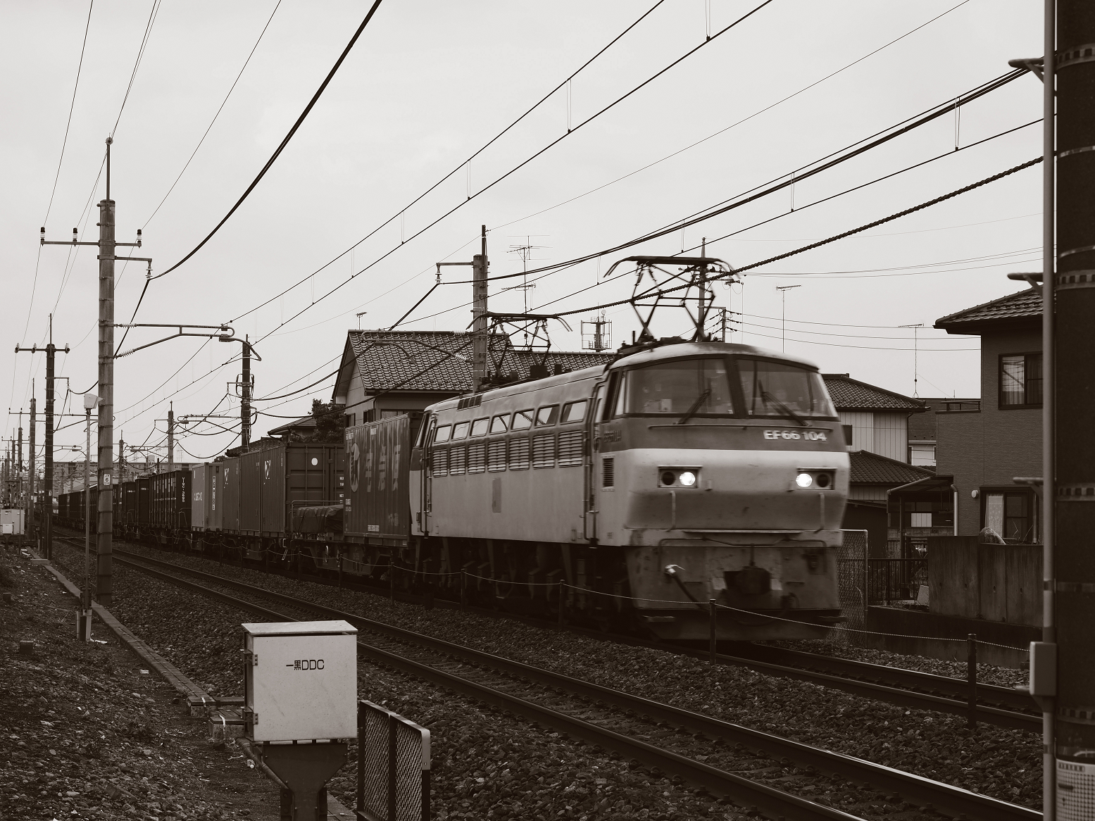 P6250277-.jpg