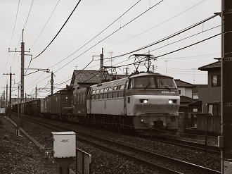 P6250277-_thumb.png