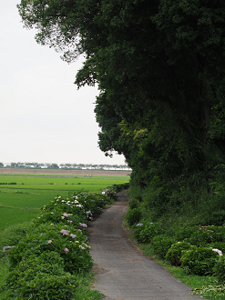 P6250441_thumb.png