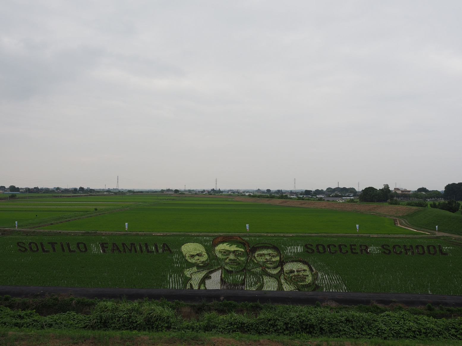 P6250443.jpg