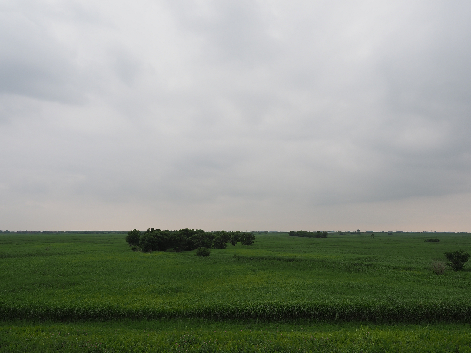 P6250448.jpg