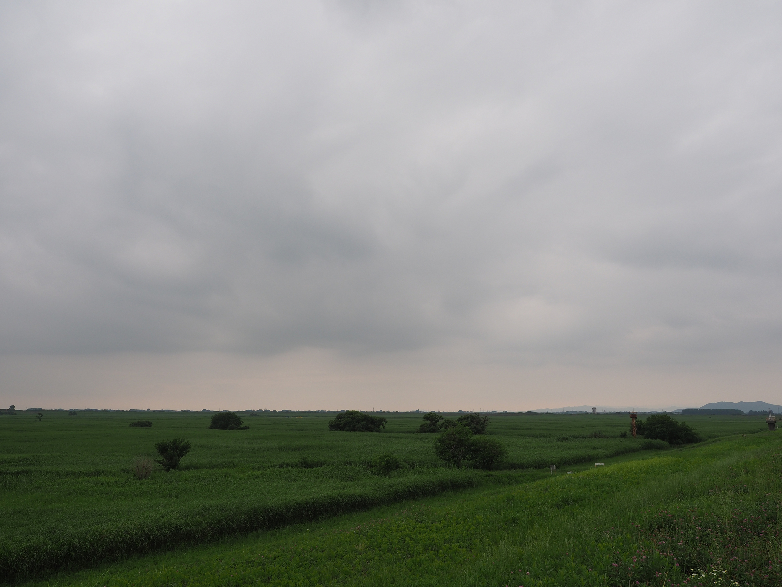 P6250449.jpg
