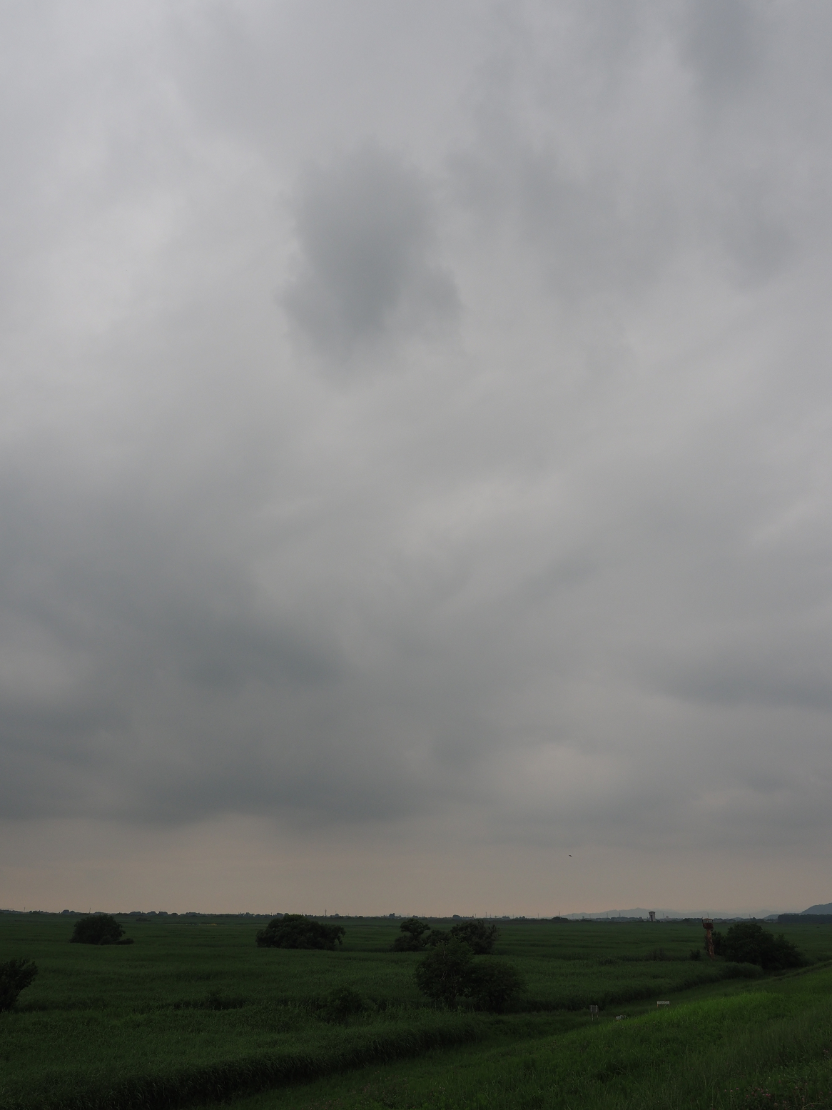 P6250450.jpg