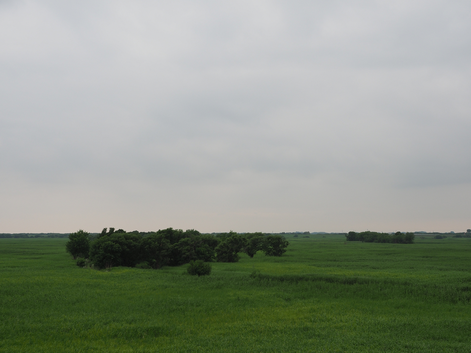 P6250451.jpg