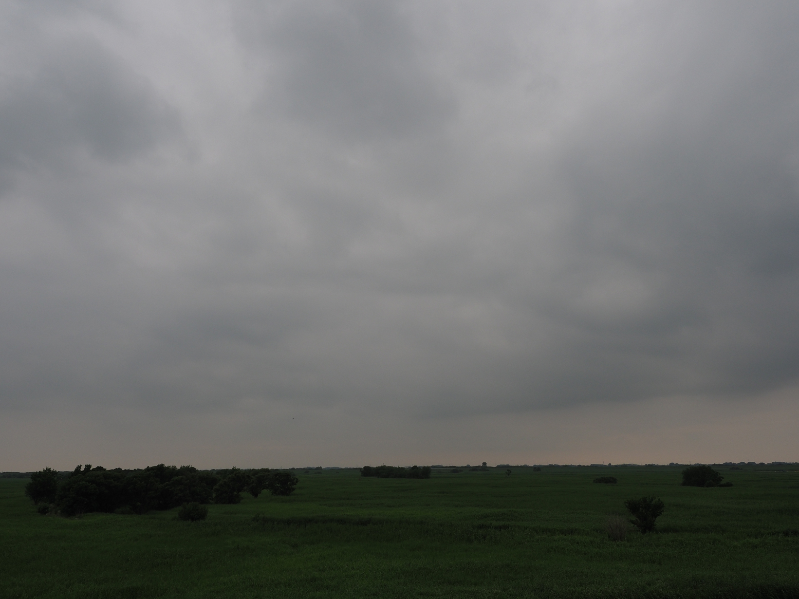 P6250453.jpg
