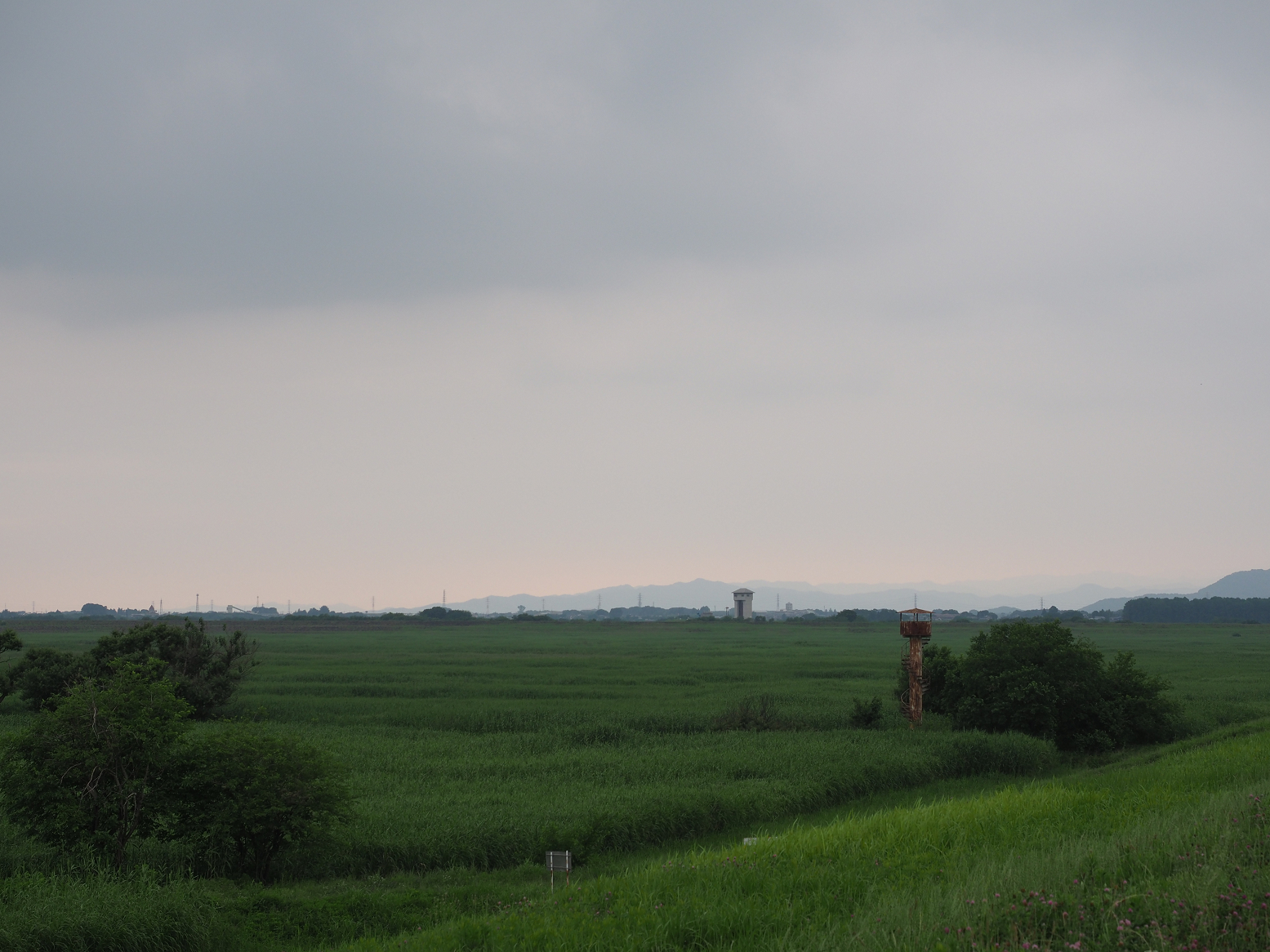 P6250459.jpg