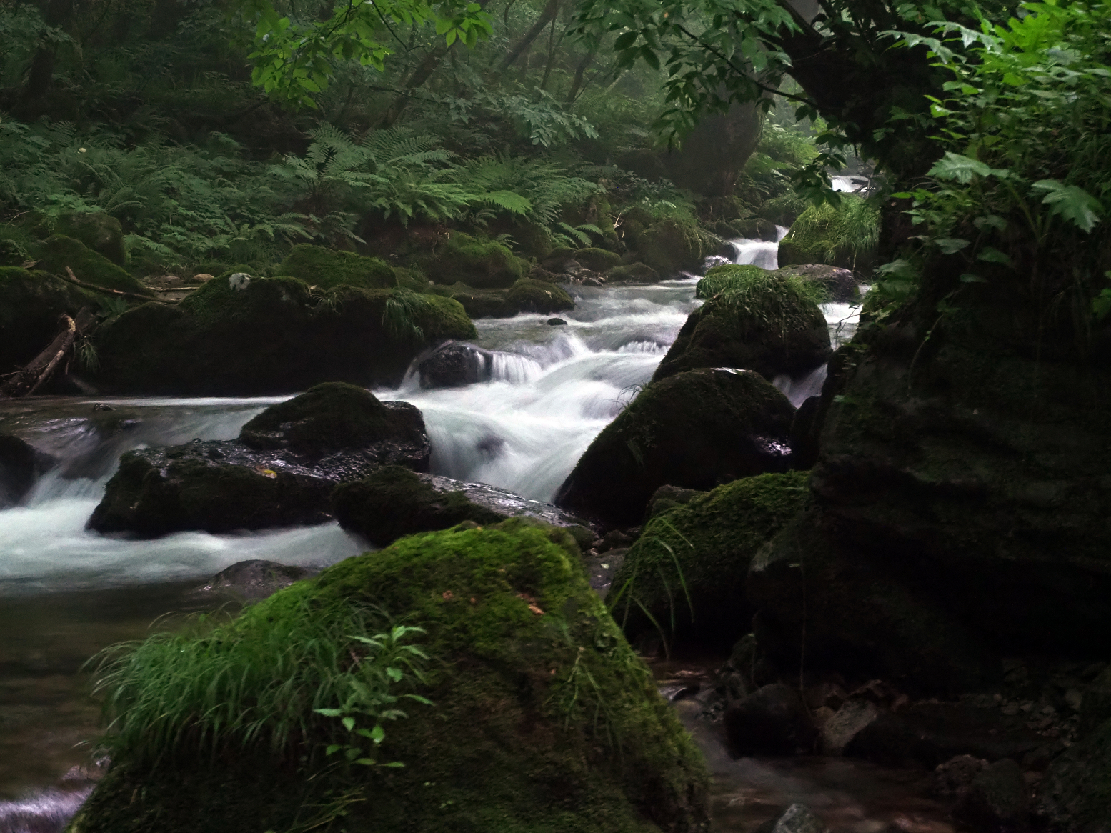 P7140001.jpg