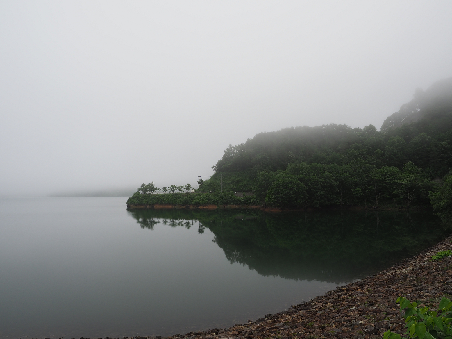 P7140054.jpg