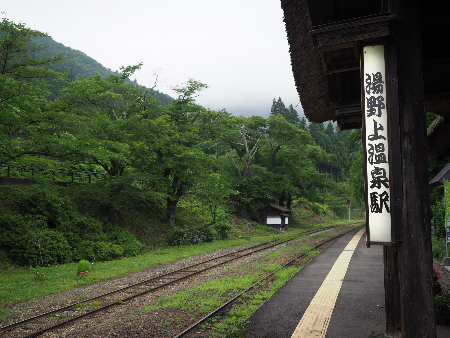 P7140086.jpg