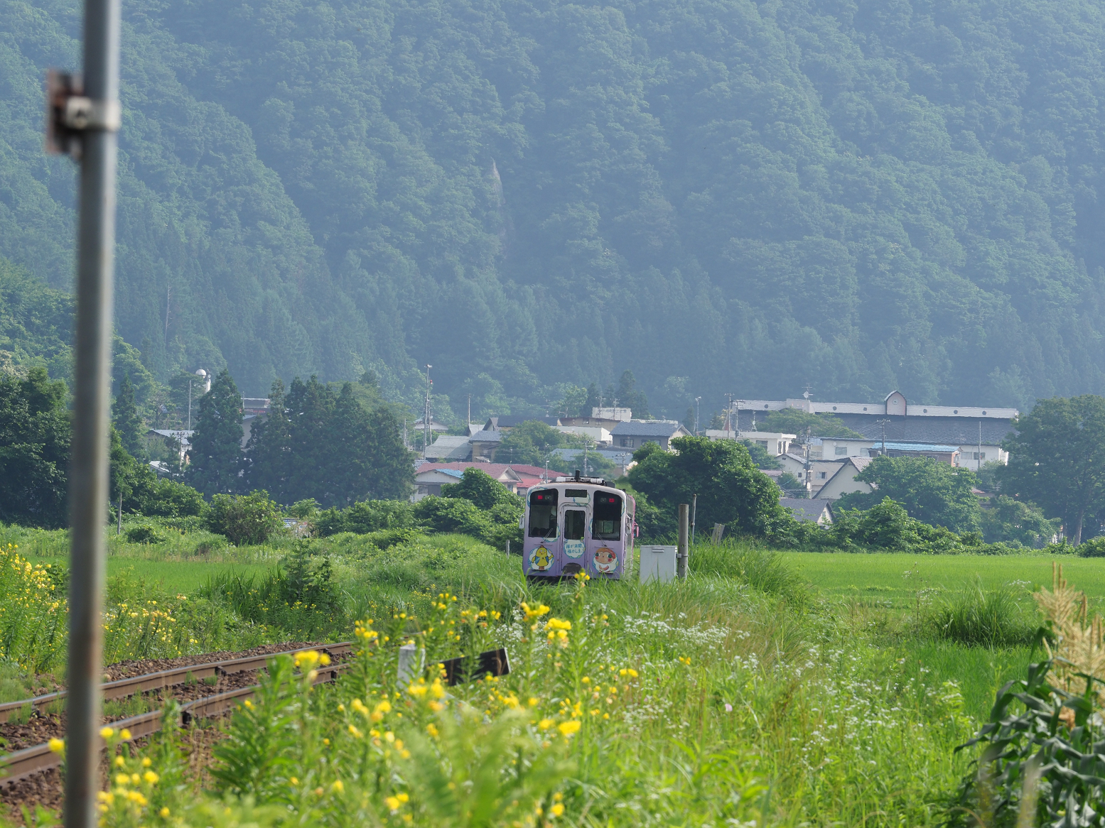 P7140191.jpg