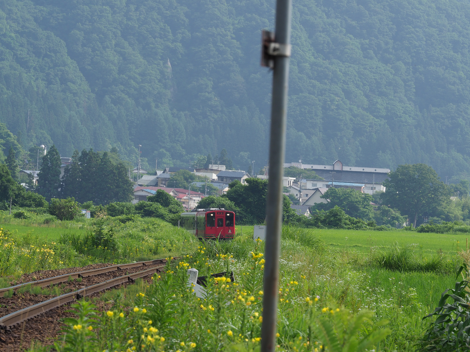 P7140208.jpg